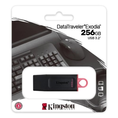 Pendrive usb gen 1 - 1, 256gb