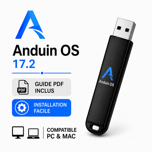 Chiave usb anduin - osso,